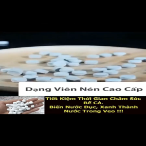 Men Vi Sinh Bể Cá – Vi Sinh Làm Trong Nước Hồ Cá Phân Hủy Chất Hữu Cơ Hỗ Trợ Xử Lý Amoniac Nitrit Khử Mùi Tanh