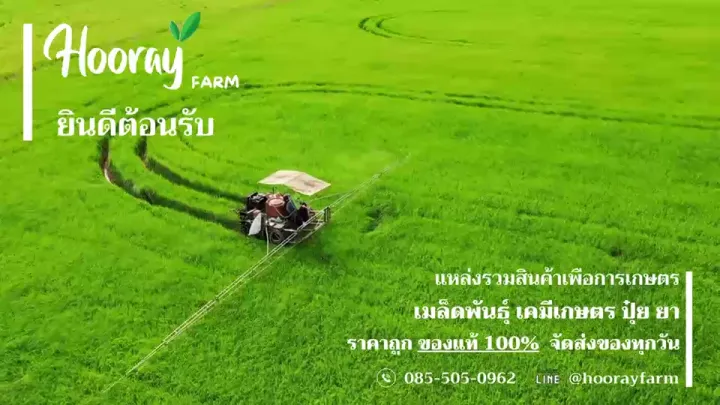 ไอซีพี ลัดดา ทูโฟฟอส ยาเม็ด กำจัดหญ้าดื้อยา