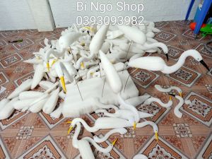 Combo 10 con cò xốp đệm dẻo bẻ không gẫy