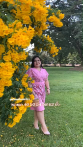 อก 46 50 54 58 62 นิ้ว ชุดเดรสพื้นเมือง ชุดเดรสพื้นเมืองประยุกต์ ชุดแซกผ้าไทย