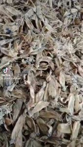 khô mực chuối - khô mới thơm rim chiên nấu súp ngon bổ rẻ-Vựa Khô Minh Triết