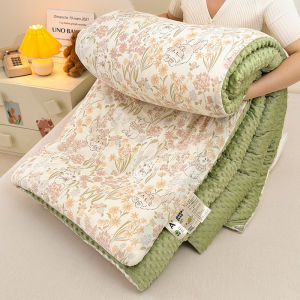 Kiss Dear | All-Season Thick Single Person Student Dormitory Child Soybean Fiber Quilt