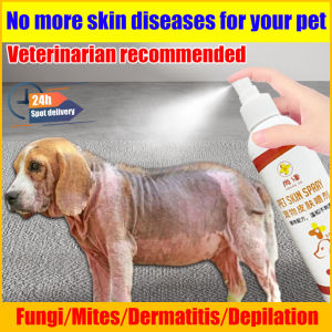 【READY STOCK】🎉No more skin diseases for your pet dog 🐕dog skin infection spray no need to worry about licking pet skin dog itchy skin spray dog wound spray ubat kurap kucing pet spray Cats and Dogs Available for Fungi/Mites/Dermatitis/Depilation狗狗皮肤病药