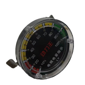 Huayu | Universal Retrofit Electric Tricycle Meter 48V 60V