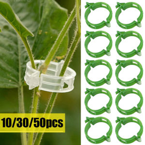10/30/50Pcs Plastic Plant Support Clips Reusable Plant Vine Protection Grafting Fixing Tool for Vegetable Tomato Garden Supplies