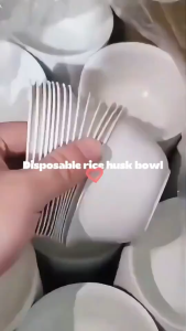 10Pcs Rice Husk Disposable Bowl Thickened and Hard Food Grade Degradable Noodle Bowl Disposable Tableware for Dinner and Picnic