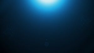 READY STOCK 6m Telescopic Loading Conveyor Belt of The Unpowered Rotating Line Roller Logistic Lift Turn Sorting Goods