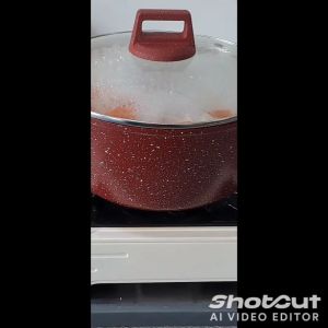 MY HOME STYLE Non-Stick Pot Casserole with Cover PFOA-Free (20/24/28cm)