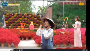 Tăm nhang ngũ sắc  [1 kg] tăm nhang trang trí nhuộm màu trang trí tết quán cà phê điểm du lịch.