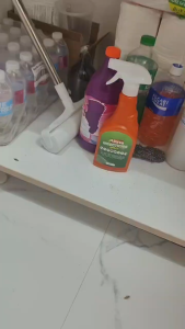 Akita Insecticide Spray 500ML Multi-Insect Killer   Non-Toxic (Fly killerCockroachFleaBed Bugs) Spray For Home Use