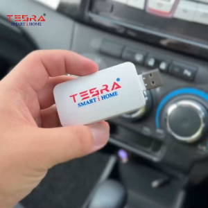TESRA Smart i Home Smart Voice Gate Control USB Gateway No App No Wifi