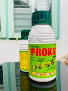 Insektisida PROKSI 500EC mantap dari Petrokimia Kayaku