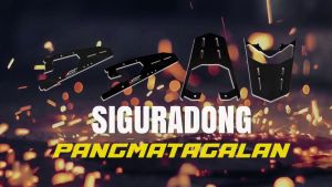 Top Box Bracket for Bajaj CT110 / Bajaj CT110 Accessories / Rack Bracket for motorcycle / CT110 Bracket / Bajaj Bracket