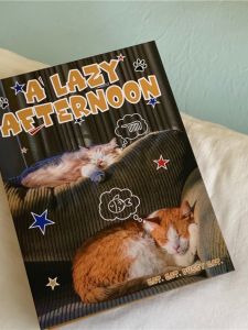 Album Ảnh Phong Cách Mỹ A5 Bốn Ô Vuông 3 Inch 5 Inch Album Ảnh Ngay Lập Tức Album Lưu Trữ Thẻ Theo Dõi Ngôi Sao Hộp Đựng Thẻ