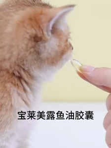 Premium Deep Sea Fish Oil Soft Capsules for Dogs & Cats - Skin & Coat Health Formula 60pcs Premium Pet Fish Oil For Cat & Dog OMEGA 3 Salmon Fish Oil Dog Cat Supplement Beauty Fur Vitamin Minyak Ikan Kucing