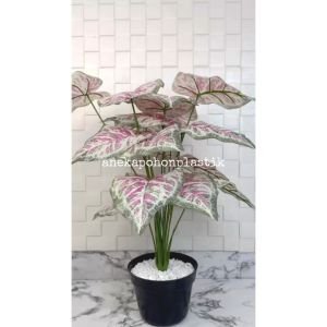 Pohon Daun Tanaman Imitasi Calladium Pink X18 Semilatex Artificial Pot Dasar Hitam Plastik Hiasan Ruangan Aesthetic