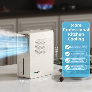 Blaupunkt | Cooling Ice Mist Fan for Kitchen