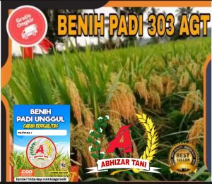 BENIH PADI AGT 303 ORIGINAL kemasan 1kg