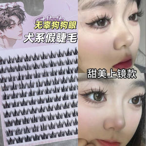 Large Capacity Single Cluster Dog Eyelashes 100 Clusters Pet Eyelashes Easy to Use Natural Looking Transparent Stem for All Skin Types