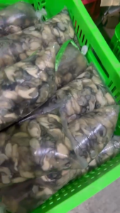 Hàu sữa tách vỏ tươi cấp đông bịch 1kg (hoả tốc 2h tphcm)
