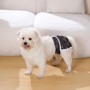 BIAI 1PC Resuable Female Dog Diaper Washable Pet Physiological Pants Waterproof Soft Ice Silk Cloth Diape For Female Dog Giftr