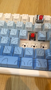 Combo Switch Kailh BOX V2 –  Keyboard Red Switch 5 Pin Ổn Định