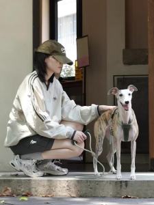 HamshMoc Pet Round Rope Vest Eco Friendly Polyester Zinc Alloy Buckle Comfort Fit Outdoor