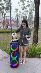 Loa kéo đứng 8312 kèm 2 micro  kết nối bluetooth nhiều chế độ chỉnh âm dễ sử dụng có dải led nhiều màu