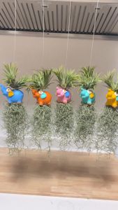 โมบายช้างใส่เคราฤาษี ตุ็กตาเซรามิกรูปสัตว์คละสี สำหรับตกแต่งสวน มอสสเปน ไม้ฟอกอากาศกรองฝุ่น ม่านบังแดด Spanish Moss