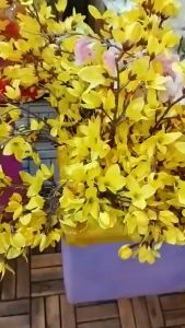 Hoa Mai Gầy Giả Cao Cấp Hàng Nhập Quảng Châu Cắm Hoa Trang Trí Decor Nhà Cửa Trùm Sỉ Gia Thành