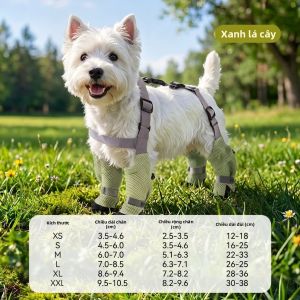 hipidog | Bao Chân Thú Cưng Chống Nước & Bẩn
