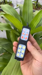 1 cái đèn led 2 màu trang trí xe ô tô siêu đẹp lắp cho điện 12v 24v nhấp nháy