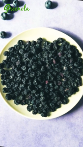 Greenola Dried blueberries 250|500g|1kg