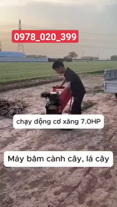 Máy băm cành cây  băm cỏ  băm thân cứng