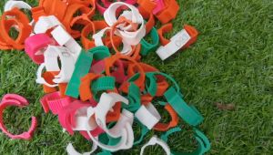 ห่วงขาไก่ เลือกสีได้ ชุด100ชิ้น 001-100 มี 7 สี ปลอกขาไก่ ห่วงขา ห่วง ไก่ ไก่ชน