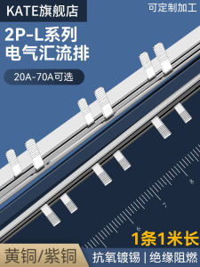 63A Electrical Busbar Copper Alloy Spacing 63mm Double Pole Disconnect Switch Pink Copper Material from Mainland China