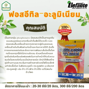 ฟอสอีทิล-อะลูมิเนียม 80%WP ออกฤทธิ์ดูดซึมทั้งทางรากและทางใบ กำจัดโรครากเน่าโคนเน่าผลเน่า ขนาด 1 กก.