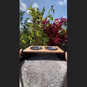 Tempat Makan Kucing & Anjing Simple Estetik