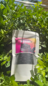 Dried Mulberry 100g