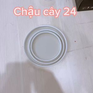 Dĩa lót men sứ đường kính từ 12 - 17 cm đĩa lót chậu cây trồng sen đá tiểu cảnh terrarium