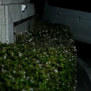 LED Solar Motion Sensor Light Outdoor Smart Security Light with PIR Human Detection Light Control &6000K Brightness for Garden