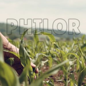 PHILOR ANAA - PLANT GROWTH PROMOTER