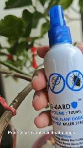 GARDEN PEST/FUNGI/MOLD/PLANT DISEASE KILLER SPRAY by G-UARD - Ultimate Plant Protection Formula [NEXT DAY SHIPPING] (蚜虫/Kutu Daun/பூச்சி நாசினி)