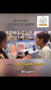 ตู้กกลูกนก ตู้ฟักไข่ ตู้สําหรับสัตว์เลี้ยง Exotic กกลูกแมว กกลูกหมา ด้วยระบบควบคุมอัตโนมัติ ทําความสะอาดง่ายด้วยวัสดุกันน้ําน้ําหนักเบา