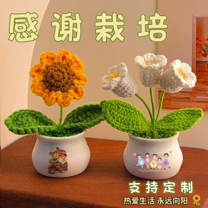 Creative Childrens Gift Teachers Day New Years Birthday Reward Present for Kids Nursery School Friends White Green Knitted