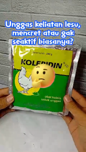 KOLERIDIN 250 GRAM 1 DUS isi 20 Sachet - Obat Ayam Ampuh Untuk Berak Hijau Berak Putih Ngorok Kolera CRD & Koli Unggas