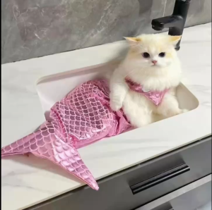 VÁY NÀNG TIÊN CÁ TỪ 2.5-6KG DÀNH CHO THÚ CƯNG CHÓ MÈO