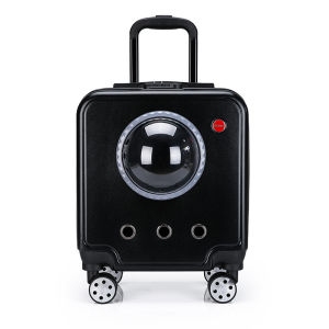 New Transparent Breathable Pet Travel Box