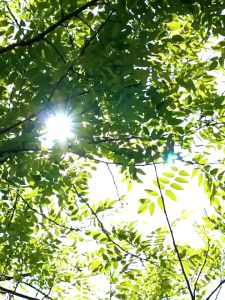 Mesin Es Ice Cube Maker Machine Portable Dengan Handle 15KG/24H membuat es cepat 6 menit