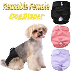 Washable Female Dog Diaper Fashion Pet Physiological Pants For Small Medium Dogs Cat Adjustable Puppy Shorts Chihuahua Supplies